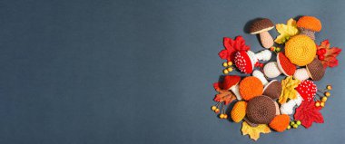 Geleneksel sonbahar geçmişi. Farklı örülmüş mantar çeşitleri, el yapımı konsept. Modaya uygun sert ışık, koyu gölge, düz yatış, mat gri arkaplan, pankart biçimi