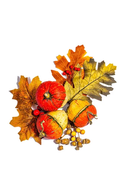 Composição Festiva Outono Isolado Fundo Branco Abóbora Decorativa Folhas Outono — Fotografia de Stock