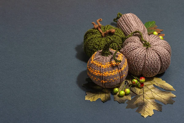 Traditional Autumn Background Assorted Knitted Pumpkin Handmade Concept Trendy Hard — Stock Photo, Image
