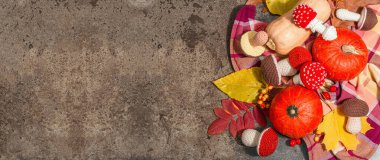 Geleneksel sonbahar geçmişi. Farklı örgü mantarlar, olgun Hokkaido balkabakları, el yapımı konsept. Modaya uygun sert ışık, koyu gölge, taş arkaplan, pankart biçimi