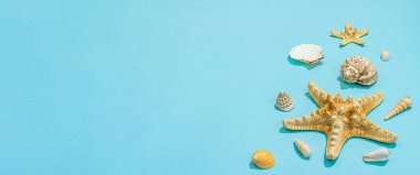 Deniz kabukları ve deniz yıldızlarıyla dolu mavi bir arka plan. Çeşitli deniz hayvanları, tatil konsepti. Modaya uygun sert ışık, koyu gölge, düz döşeme, afiş biçimi
