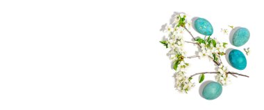 Çiçekli kiraz dalları ve beyaz arka planda izole edilmiş yumurtalar. Kutlama kartı, geleneksel bahar çiçekleri. Düz konum, model, şablon, pankart biçimi