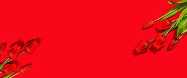 Valentine Day gift concept. Romantic red background with bright tulips bouquet. Hard light, dark shadow, minimalistic style, flat lay, banner format