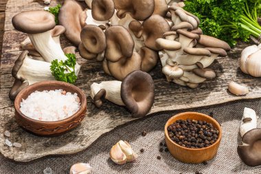 Oyster mushrooms ready for cooking. Fresh parsley, spices and garlic. Trendy hard light, dark shadows, old wooden background, close up