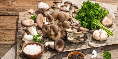 Oyster mushrooms ready for cooking. Fresh parsley, spices and garlic. Trendy hard light, dark shadows, old wooden background, banner format
