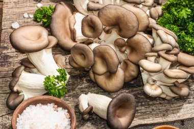 Oyster mushrooms ready for cooking. Fresh parsley, spices and garlic. Trendy hard light, dark shadows, old wooden background, close up