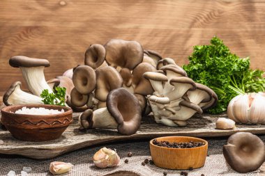 Oyster mushrooms ready for cooking. Fresh parsley, spices and garlic. Trendy hard light, dark shadows, old wooden background, copy space