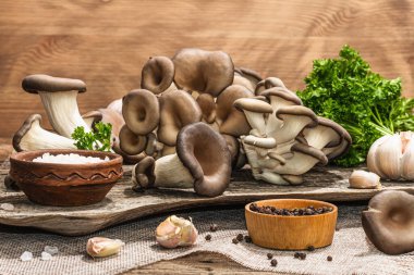 Oyster mushrooms ready for cooking. Fresh parsley, spices and garlic. Trendy hard light, dark shadows, old wooden background, copy space