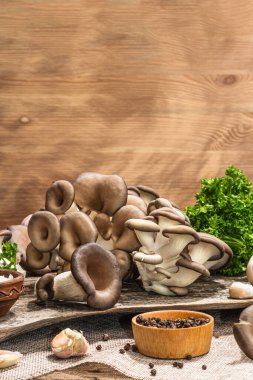 Oyster mushrooms ready for cooking. Fresh parsley, spices and garlic. Trendy hard light, dark shadows, old wooden background, copy space
