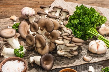Oyster mushrooms ready for cooking. Fresh parsley, spices and garlic. Trendy hard light, dark shadows, old wooden background, close up