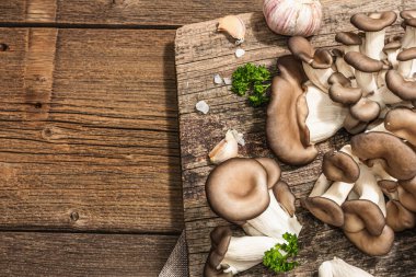 Oyster mushrooms ready for cooking. Fresh parsley, spices and garlic. Trendy hard light, dark shadows, old wooden background, top view