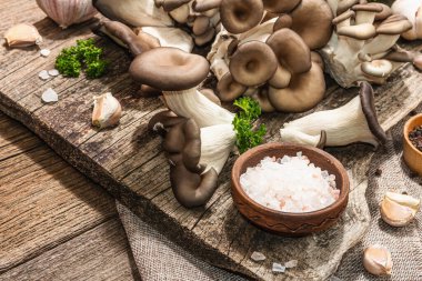Oyster mushrooms ready for cooking. Fresh parsley, spices and garlic. Trendy hard light, dark shadows, old wooden background, copy space