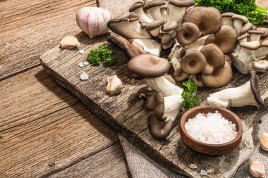 Oyster mushrooms ready for cooking. Fresh parsley, spices and garlic. Trendy hard light, dark shadows, old wooden background, copy space