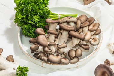 Fresh oyster mushrooms on a ceramic plate with parsley. Healthy ingredient for cooking vegan food. White background, hard light, dark shadow, flat lay, close up
