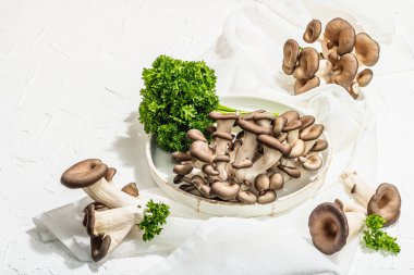 Fresh oyster mushrooms on a ceramic plate with parsley. Healthy ingredient for cooking vegan food. White background, hard light, dark shadow, flat lay, copy space
