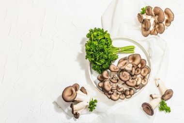 Fresh oyster mushrooms on a ceramic plate with parsley. Healthy ingredient for cooking vegan food. White background, hard light, dark shadow, flat lay, top view