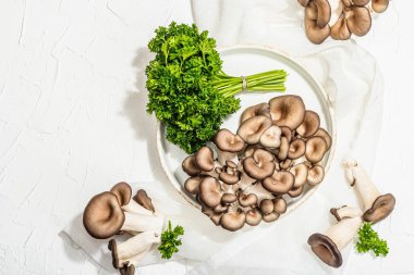 Fresh oyster mushrooms on a ceramic plate with parsley. Healthy ingredient for cooking vegan food. White background, hard light, dark shadow, flat lay, top view