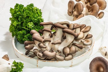 Fresh oyster mushrooms on a ceramic plate with parsley. Healthy ingredient for cooking vegan food. White background, hard light, dark shadow, flat lay, close up