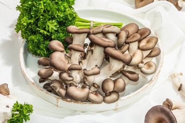 Fresh oyster mushrooms on a ceramic plate with parsley. Healthy ingredient for cooking vegan food. White background, hard light, dark shadow, flat lay, close up