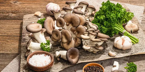 Oyster mushrooms ready for cooking. Fresh parsley, spices and garlic. Trendy hard light, dark shadows, old wooden background, banner format