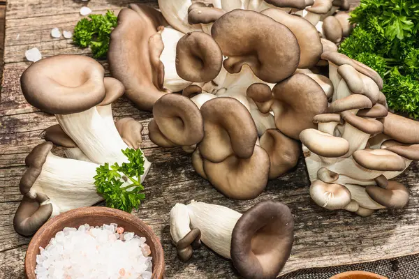 Oyster mushrooms ready for cooking. Fresh parsley, spices and garlic. Trendy hard light, dark shadows, old wooden background, close up