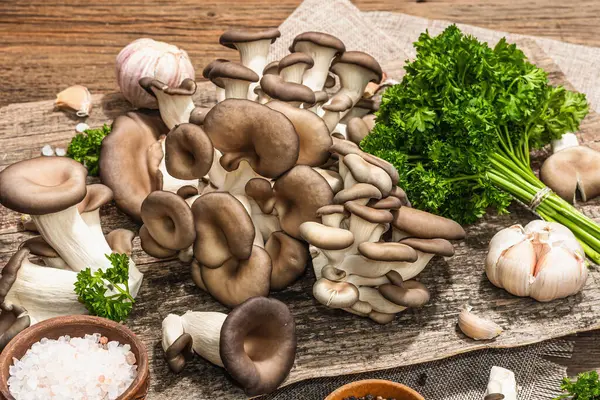 Oyster mushrooms ready for cooking. Fresh parsley, spices and garlic. Trendy hard light, dark shadows, old wooden background, close up
