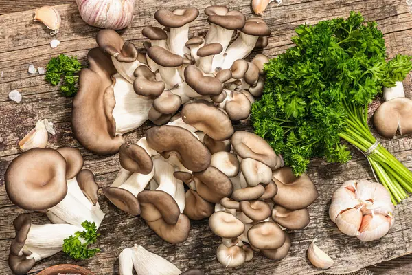 Oyster mushrooms ready for cooking. Fresh parsley, spices and garlic. Trendy hard light, dark shadows, old wooden background, top view