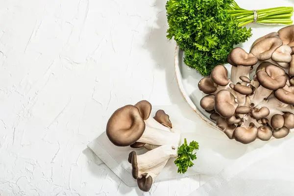 Fresh oyster mushrooms on a ceramic plate with parsley. Healthy ingredient for cooking vegan food. White background, hard light, dark shadow, flat lay, top view