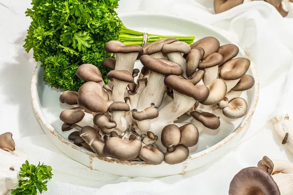Fresh oyster mushrooms on a ceramic plate with parsley. Healthy ingredient for cooking vegan food. White background, hard light, dark shadow, flat lay, close up
