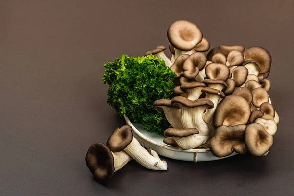 Delicious organic oyster mushrooms with fresh parsley. Source of beta glucan, black stone concrete background, copy space