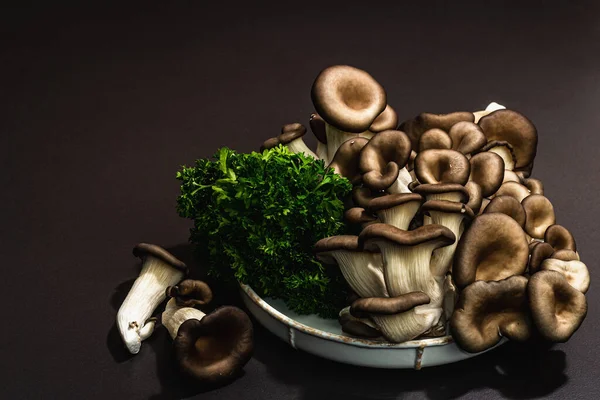 Delicious organic oyster mushrooms with fresh parsley. Source of beta glucan, black stone concrete background, close up