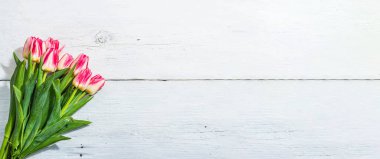 Beyaz ahşap arka planda taze pembe laleler. Anneler Günü ya da Sevgililer Günü için şölen konsepti. Tebrik kartı, Paskalya düzlüğü, sert ışık, koyu gölge, pankart biçimi