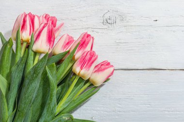 Beyaz ahşap arka planda taze pembe laleler. Anneler Günü ya da Sevgililer Günü için şölen konsepti. Tebrik kartı, Paskalya düzlüğü, sert ışık, koyu gölge, üst manzara.