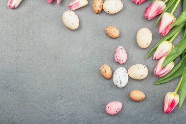 Paskalya düzlüğü renkli yumurtalar ve lalelerle kaplıydı. Geleneksel dekor, bayram tebrik kartı, tatil konsepti, gri taş beton arka plan, üst manzara