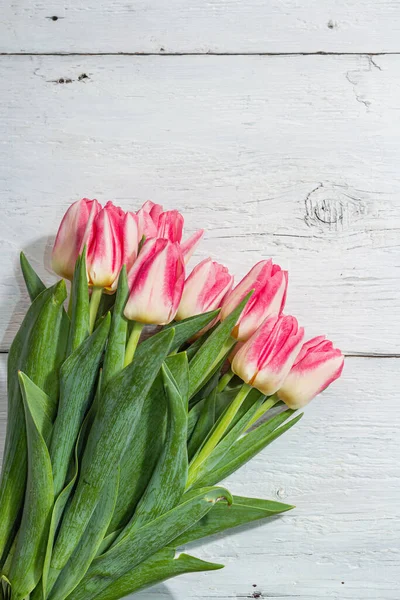 Букет Свіжих Рожевих Тюльпанів Білому Дерев Яному Фоні Святкування Дня — стокове фото