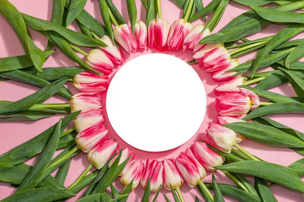 stock image Wreath from pink tulips with white round stand. Festive concept for Mother's Day or Valentines Day. Greeting card, Easter flat lay, hard light, dark shadow, place for text