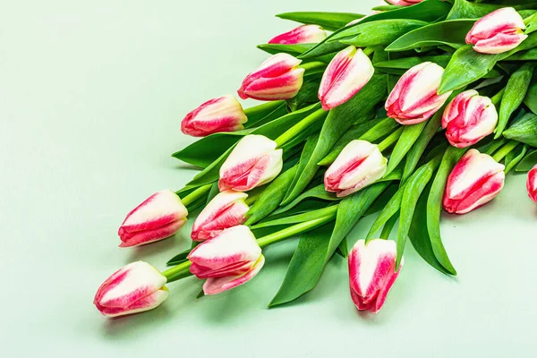 Букет Свежих Розовых Тюльпанов Зеленом Фоне Праздничная Концепция Дню Матери — стоковое фото