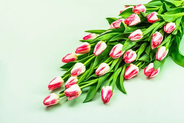 Bouquet Friske Lyserøde Tulipaner Grøn Baggrund Festligt Koncept Til Mors - Stock-foto