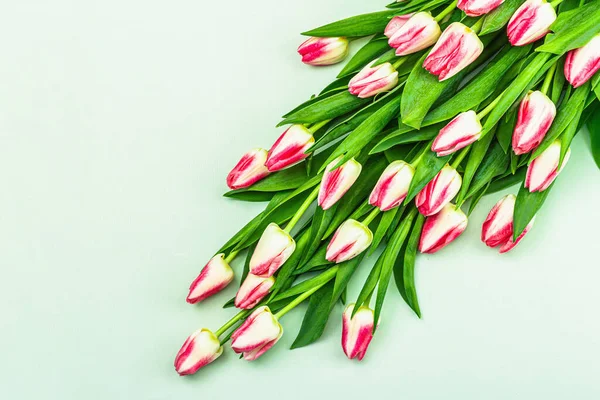 Csokor Friss Rózsaszín Tulipán Zöld Háttérrel Ünnepi Koncepció Anyák Napjára — Stock Fotó