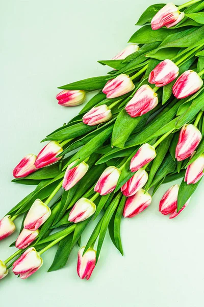 Букет Свіжих Рожевих Тюльпанів Зеленому Тлі Святкування Дня Матері Або — стокове фото