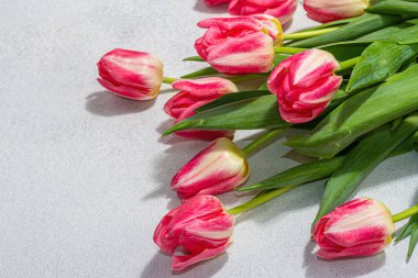 Hafif taştan arka planda taze pembe laleler. Anneler Günü ya da Sevgililer Günü için şölen konsepti. Tebrik kartı, Paskalya düzlüğü, yıldönümü veya doğum günü, kopyalama alanı