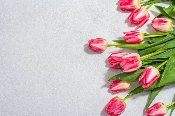 轻石混凝土背景上新鲜的粉红郁金香 母亲节或情人节的节日概念 复活节平铺 周年纪念日或生日 — 图库照片