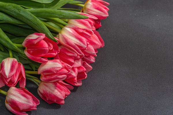 stock image Fresh pink tulips on dark stone concrete background. Festive concept for Mother's Day or Valentines Day. Greeting card, Easter flat lay, Anniversary or Birthday, copy space