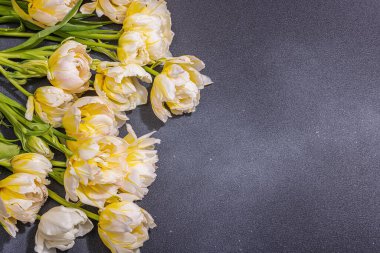 Siyah taştan arka planda taze, şakayık laleler. Anneler Günü ya da Sevgililer Günü için şölen konsepti. Tebrik kartı, Paskalya düzlüğü, sert ışık, koyu gölge, üst manzara.