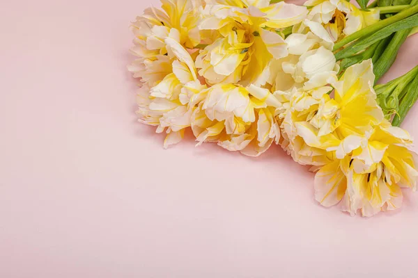 Friss Fény Bazsarózsa Tulipán Pasztell Rózsaszín Háttér Ünnepi Koncepció Anyák — Stock Fotó