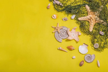 Deniz kabukları, deniz yıldızları ve balık ağlarıyla donatılmış sarı bir arka plan. Çeşitli deniz hayvanları, tatil konsepti. Modaya uygun sert ışık, koyu gölge, düz uzanma, üst manzara