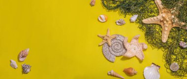 Deniz kabukları, deniz yıldızları ve balık ağlarıyla donatılmış sarı bir arka plan. Çeşitli deniz hayvanları, tatil konsepti. Modaya uygun sert ışık, koyu gölge, düz döşeme, afiş biçimi