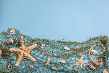 Deniz kabukları, deniz yıldızları ve balıkçı ağıyla donatılmış mavi bir arka plan. Çeşitli deniz hayvanları, tatil konsepti. Modaya uygun sert ışık, koyu gölge, düz uzanma, üst manzara