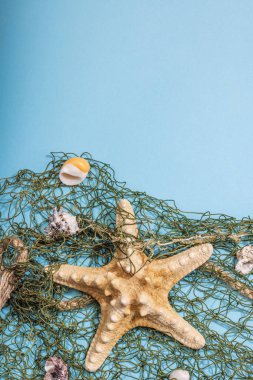 Deniz kabukları, deniz yıldızları ve balıkçı ağıyla donatılmış mavi bir arka plan. Çeşitli deniz hayvanları, tatil konsepti. Modaya uygun sert ışık, koyu gölge, düz uzanma, üst manzara