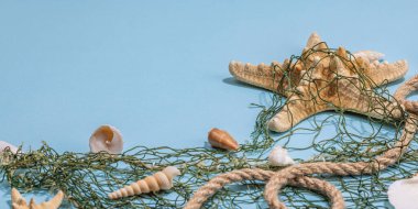 Deniz kabukları, deniz yıldızları ve balıkçı ağıyla donatılmış mavi bir arka plan. Çeşitli deniz hayvanları, tatil konsepti. Modaya uygun sert ışık, koyu gölge, düz döşeme, afiş biçimi